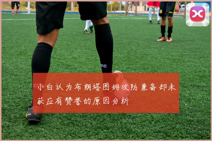 小白认为布朗塔图姆攻防兼备却未获应有赞誉的原因分析